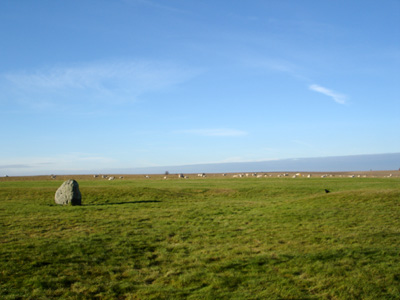 Salisbury Plain